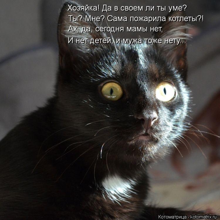 Котоматрица: Хозяйка! Да в своем ли ты уме? Ты? Мне? Сама пожарила котлеты?! Ах, да, сегодня мамы нет, И нет детей, и мужа тоже нету...