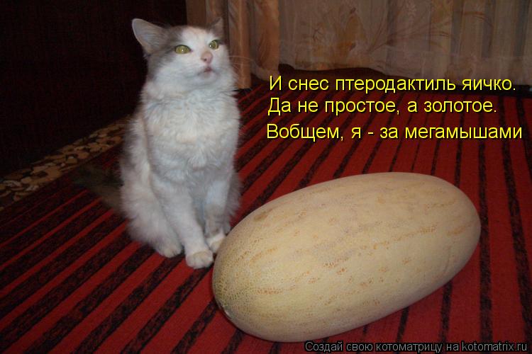Котоматрица: И снес птеродактиль яичко. Да не простое, а золотое. Вобщем, я - за мегамышами