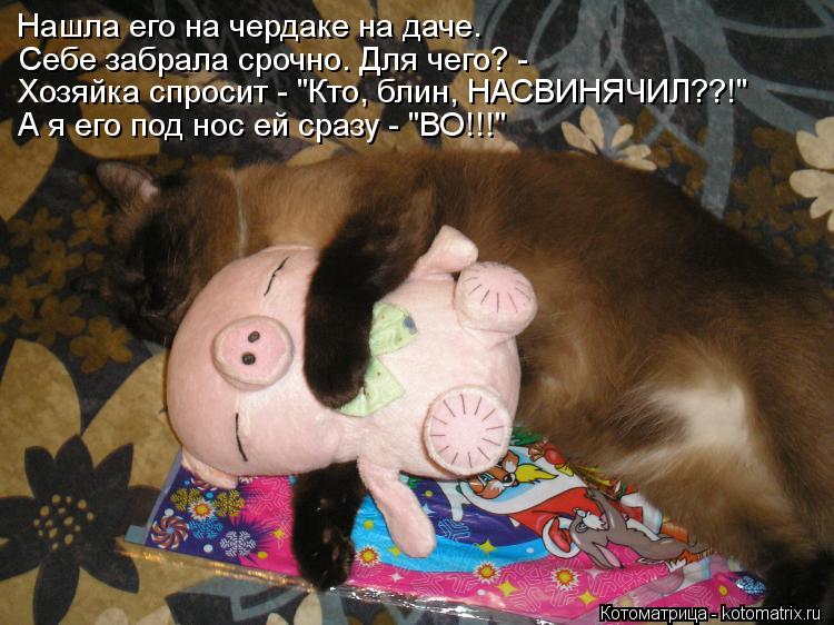 Нашла его на чердаке на даче. Себе забрала срочно. Для чего? - Хозяйка спросит - "Кто, блин, НАСВИНЯЧ... Котоматрица: Нашла его на чердаке на даче. Себе забрала срочно. Для чего? - Хозяйка спросит - "Кто, блин, НАСВИНЯЧИЛ??!" А я его под нос ей сразу - "ВО!!!"