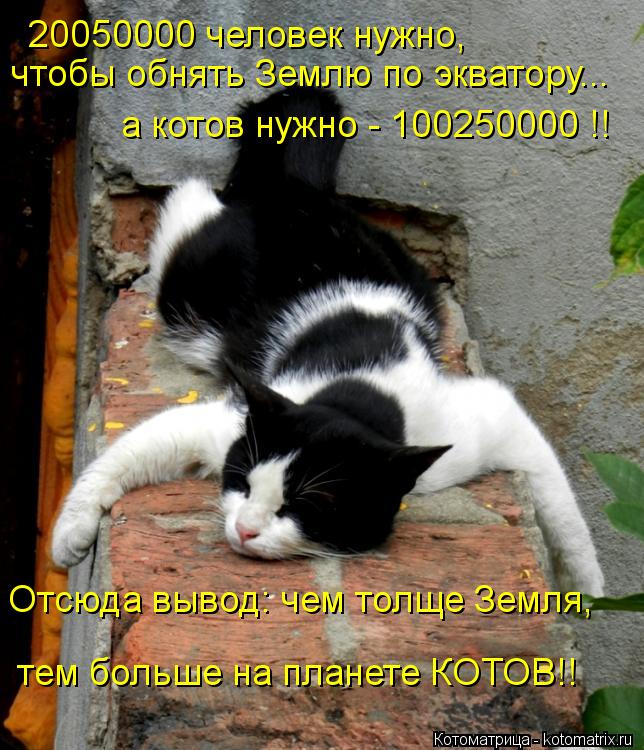 Котоматрица: 20050000 человек нужно, чтобы обнять Землю по экватору...  а котов нужно - 100250000 !! Отсюда вывод: чем толще Земля, тем больше на планете КОТОВ!!