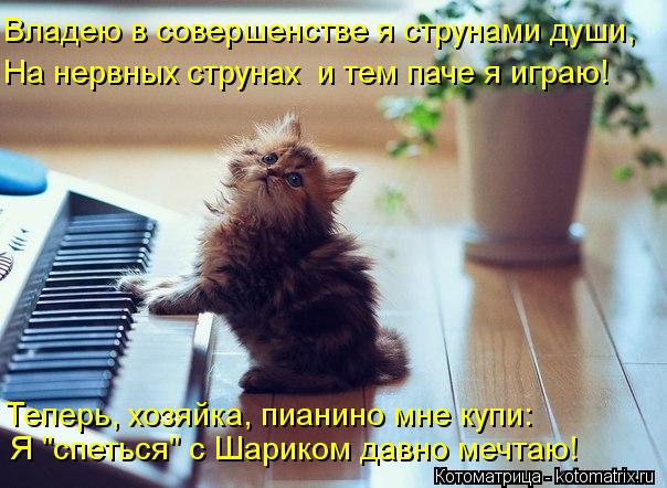 Котоматрица: Владею в совершенстве я струнами души, На нервных струнах  и тем паче я играю! Теперь, хозяйка, пианино мне купи: Я "спеться" с Шариком давно м