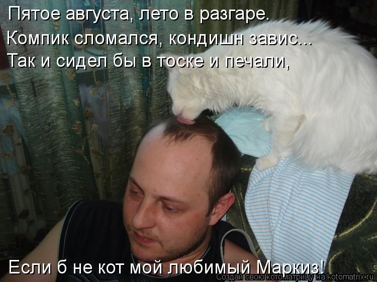 Котоматрица: Пятое августа, лето в разгаре. Компик сломался, кондишн завис... Так и сидел бы в тоске и печали, Если б не кот мой любимый Маркиз!