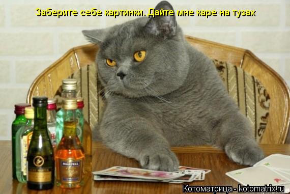 Котоматрица: Заберите себе картинки. Дайте мне каре на тузах