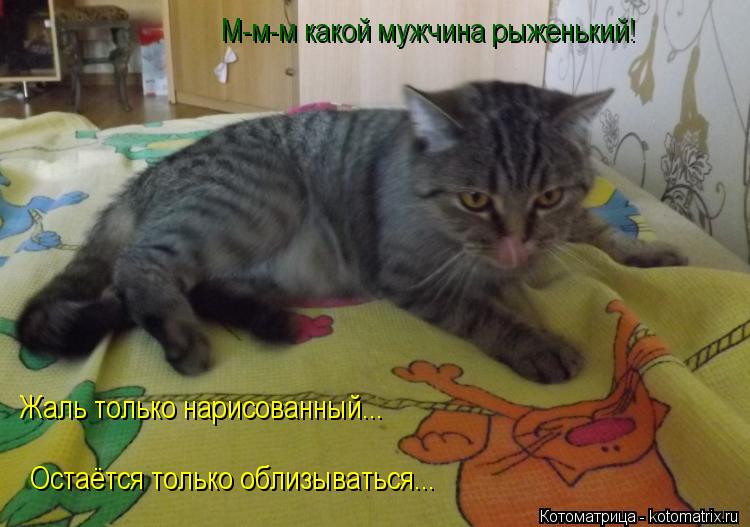 Котоматрица: М-м-м какой мужчина рыженький! Жаль только нарисованный... Остаётся только облизываться...