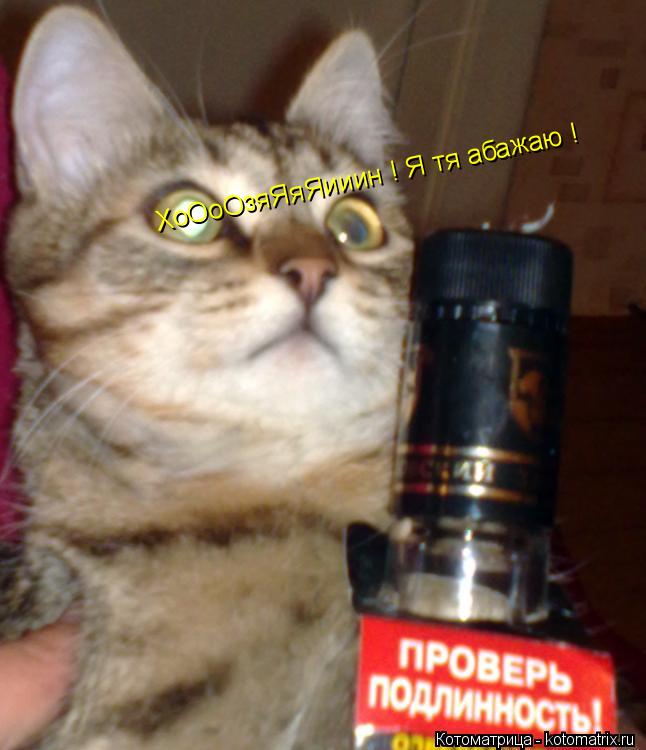 Котоматрица: ХоОоОзяЯяЯииин ! Я тя абажаю !