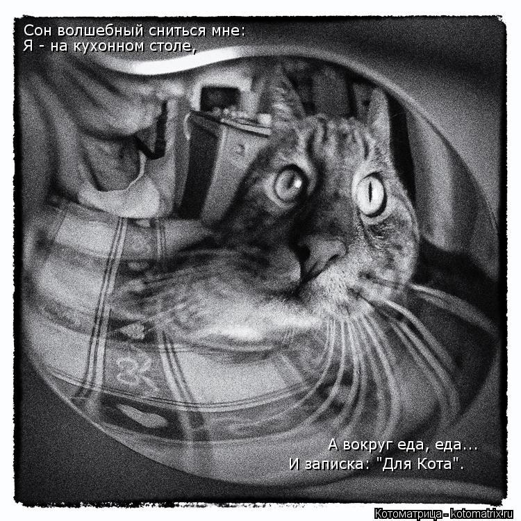 Котоматрица: Сон волшебный сниться мне: Я - на кухонном столе, А вокруг еда, еда... И записка: "Для Кота".
