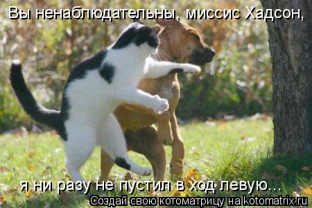 Вы ненаблюдательны, миссис Хадсон, я ни разу не пустил в ход левую...... Котоматрица: Вы ненаблюдательны, миссис Хадсон, я ни разу не пустил в ход левую...