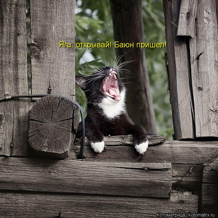 Котоматрица: Яга, открывай! Баюн пришел!
