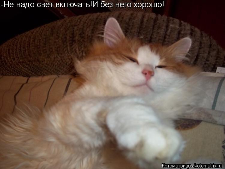 Котоматрица: -Не надо свет включать!И без него хорошо!