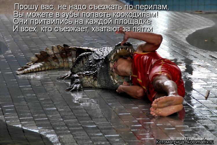 Котоматрица: Прошу вас, не надо съезжать по перилам,  Вы можете в зубы попасть крокодилам!  Они притаились на каждой площадке И всех, кто съезжает, хватают