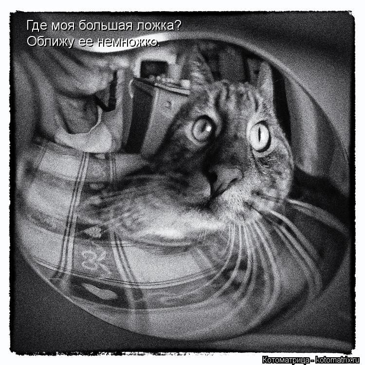 Котоматрица: Где моя большая ложка? Оближу ее немножко.