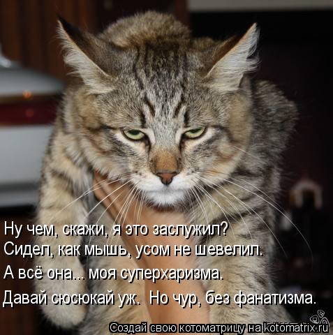 Котоматрица: Ну чем, скажи, я это заслужил? Сидел, как мышь, усом не шевелил. Давай сюсюкай уж.  Но чур, без фанатизма. А всё она... моя суперхаризма.
