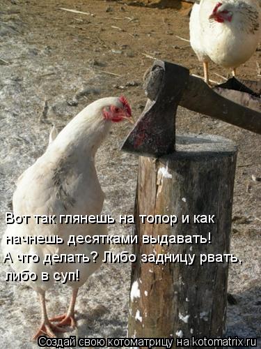 Котоматрица: Вот так глянешь на топор и как  начнешь десятками выдавать! А что делать? Либо задницу рвать,  либо в суп!