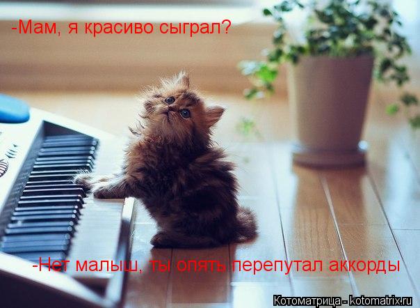 Котоматрица: -Нет малыш, ты опять перепутал аккорды -Мам, я красиво сыграл?