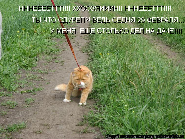 Котоматрица: НННЕЕЕЕТТТ!!!! ХХООЗЯИИИН!! НННЕЕЕТТТ!!!! ТЫ ЧТО СДУРЕЛ?! ВЕДЬ СЕДНЯ 29 ФЕВРАЛЯ... У МЕНЯ СТОЛЬКО ДЕЛ НА ДАЧЕ!!!! У МЕНЯ  ЕЩЕ СТОЛЬКО ДЕЛ НА ДАЧЕ!!!!