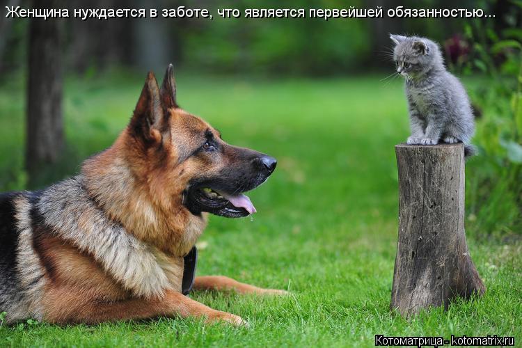 Котоматрица: Женщина нуждается в заботе, что является первейшей обязанностью...