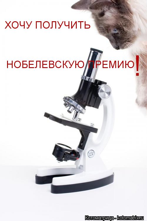 Котоматрица: ХОЧУ ПОЛУЧИТЬ  НОБЕЛЕВСКУЮ ПРЕМИЮ !