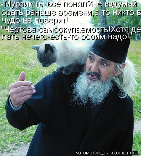 Котоматрица: -Мурзик,ты всё понял?Не вздумай орать раньше времени,а то никто в  чудо не поверит! "Чёртова самоокупаемость!Хотя де- лать нечего-есть-то обои