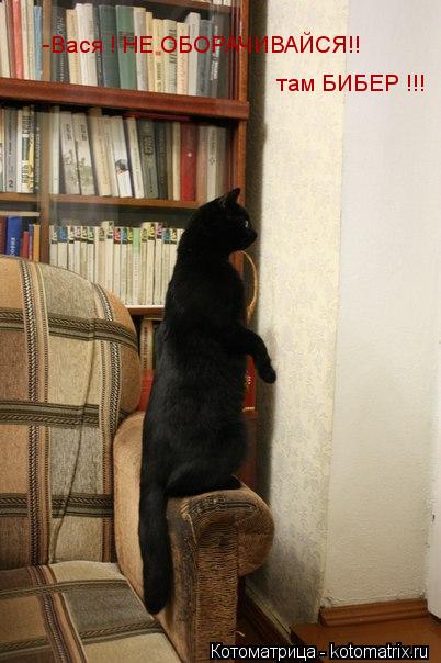 Котоматрица: -Вася ! НЕ ОБОРАЧИВАЙСЯ!! там БИБЕР !!!