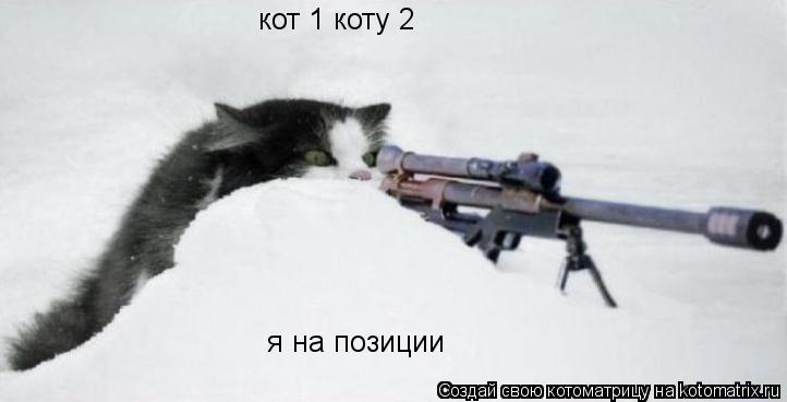 кот 1 коту 2 я на позиции... Котоматрица: кот 1 коту 2 я на позиции