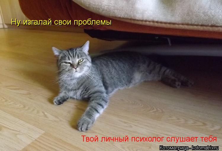 Котоматрица: Ну изгалай свои проблемы Твой личный психолог слушает тебя