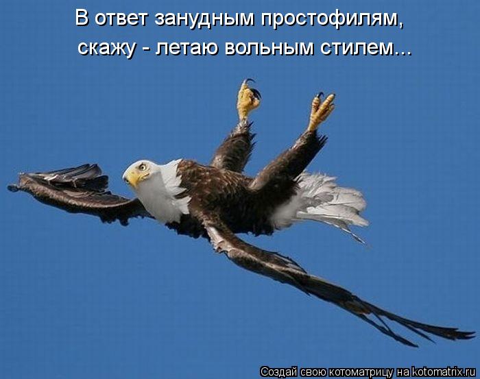 В ответ занудным простофилям, скажу - летаю вольным стилем...... Котоматрица: В ответ занудным простофилям, скажу - летаю вольным стилем...