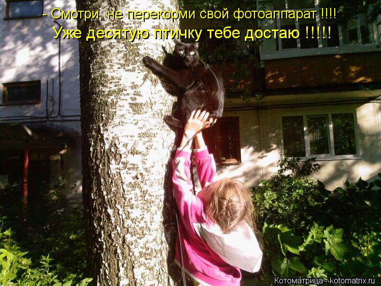 Котоматрица: - Смотри, не перекорми свой фотоаппарат !!!! Уже десятую птичку тебе достаю !!!!!