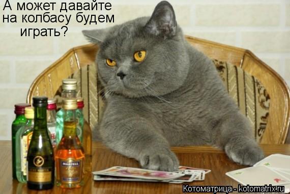 Котоматрица: А может давайте  на колбасу будем  играть?