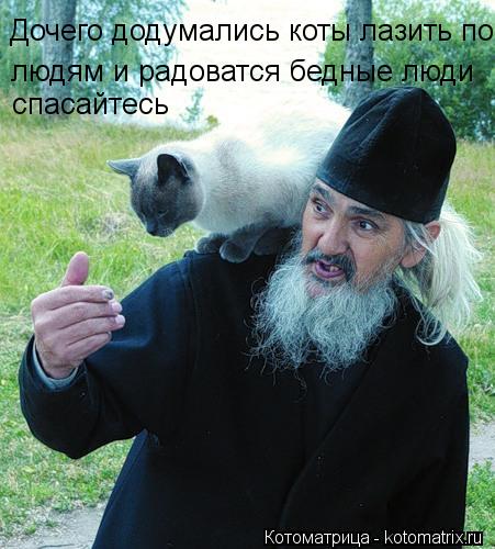 Котоматрица: Дочего додумались коты лазить по людям и радоватся бедные люди спасайтесь