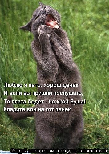 Котоматрица: Люблю я петь, хорош денёк И если вы пришли послушать, То плата бедет - ножкой Буша! Кладите вон на тот пенёк.