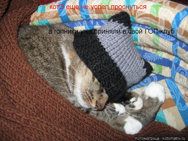 Котоматрица: котЭ еще не успел проснуться а гопники уже приняли в свой ГОП-клуб