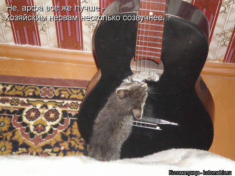 Котоматрица: Не, арфа все же лучше - Хозяйским нервам несколько созвучнее...