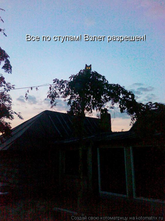 Котоматрица: Все по ступам! Взлет разрешен!
