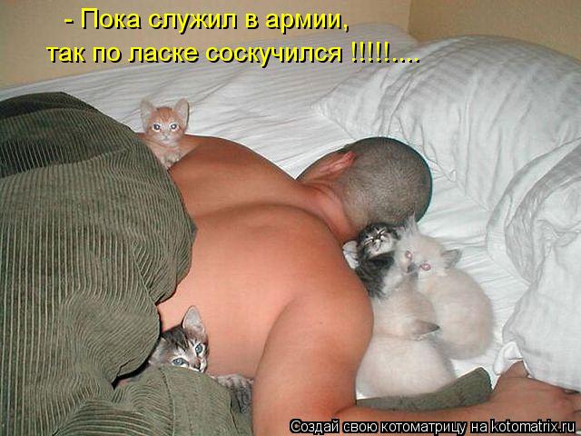 Котоматрица: - Пока служил в армии, так по ласке соскучился !!!!!....