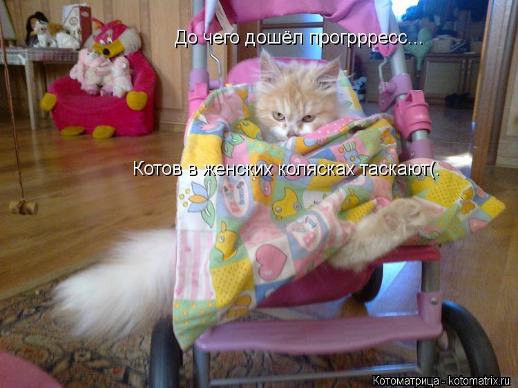 Котоматрица: До чего дошёл прогррресс...  Котов в женских колясках таскают(.
