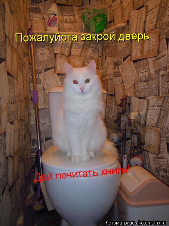 Котоматрица: Пожалуйста закрой дверь Дай почитать книги!
