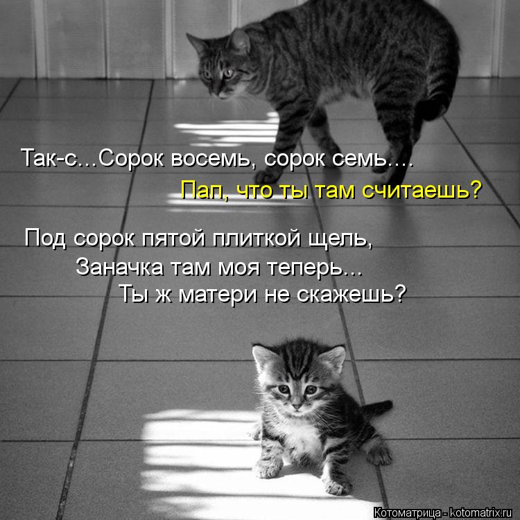 Котоматрица: Так-с...Сорок восемь, сорок семь.... Под сорок пятой плиткой щель, Заначка там моя теперь... Ты ж матери не скажешь? Пап, что ты там считаешь?