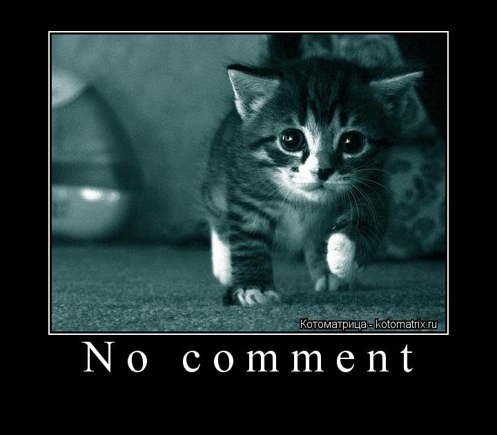 Котоматрица: No comment 