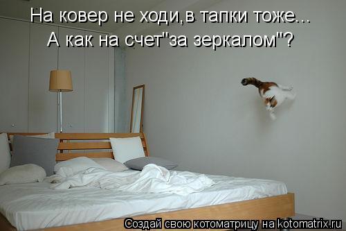 Котоматрица: На ковер не ходи,в тапки тоже... А как на счет"за зеркалом"?