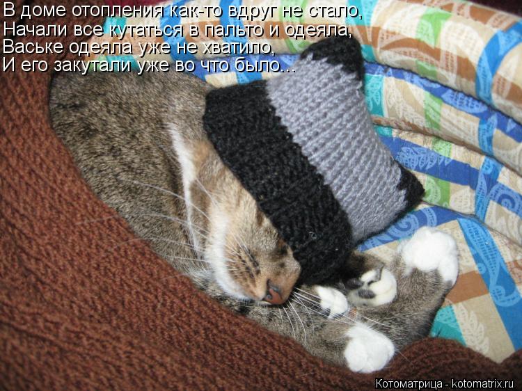 Котоматрица: В доме отопления как-то вдруг не стало, Начали все кутаться в пальто и одеяла, Ваське одеяла уже не хватило, И его закутали уже во что было...