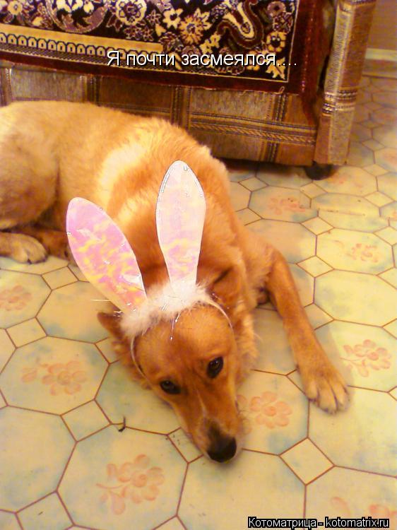Котоматрица: Я почти засмеялся....  Я почти засмеялся....