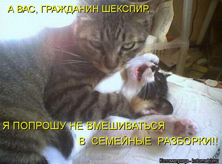 А ВАС, ГРАЖДАНИН ШЕКСПИР, Я ПОПРОШУ НЕ ВМЕШИВАТЬСЯ В СЕМЕЙНЫЕ РАЗБОРКИ!!... Котоматрица: А ВАС, ГРАЖДАНИН ШЕКСПИР, Я ПОПРОШУ НЕ ВМЕШИВАТЬСЯ В СЕМЕЙНЫЕ РАЗБОРКИ!!