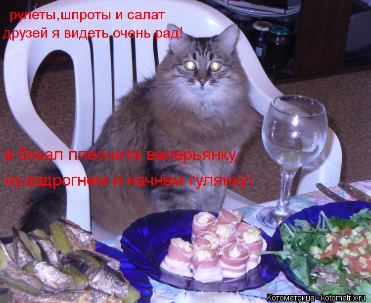 рулеты,шпроты и салат друзей я видеть очень рад! ну,вздрогнем и начнем гулянку! в бокал плесните вале... Котоматрица: рулеты,шпроты и салат друзей я видеть очень рад! ну,вздрогнем и начнем гулянку! в бокал плесните валерьянку,