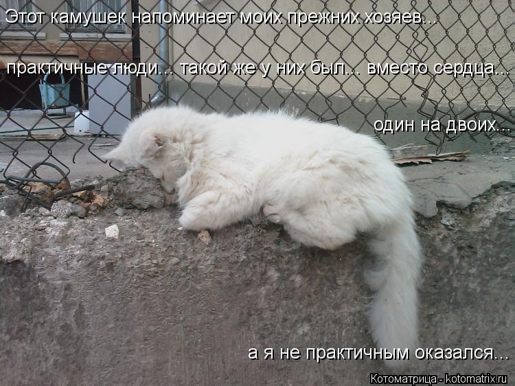 Котоматрица: один на двоих... практичные люди... такой же у них был... вместо сердца... а я не практичным оказался... Этот камушек напоминает моих прежних хозя