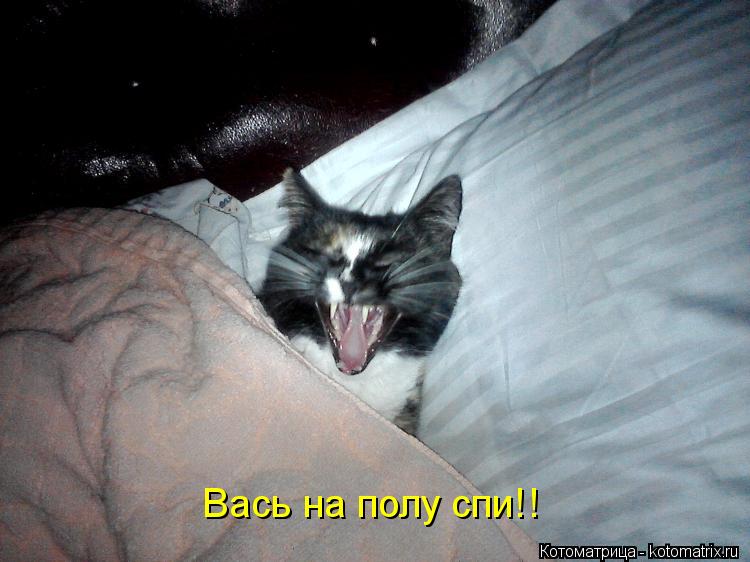 Вась на полу спи!!... Котоматрица: Вась на полу спи!!