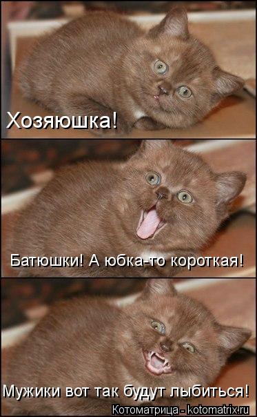 Хозяюшка! Батюшки! А юбка-то короткая! Мужики вот так будут лыбиться!... Котоматрица: Хозяюшка! Батюшки! А юбка-то короткая! Мужики вот так будут лыбиться!