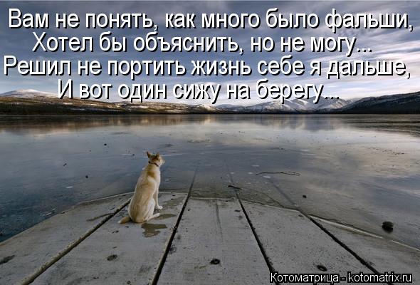 Котоматрица: Вам не понять, как много было фальши, Хотел бы объяснить, но не могу... Решил не портить жизнь себе я дальше, И вот один сижу на берегу...
