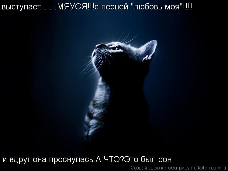 выступает.......МЯУСЯ!!!с песней "любовь моя"!!!! и вдруг она проснулась.А ЧТО?Это был сон!... Котоматрица: выступает.......МЯУСЯ!!!с песней "любовь моя"!!!! и вдруг она проснулась.А ЧТО?Это был сон!