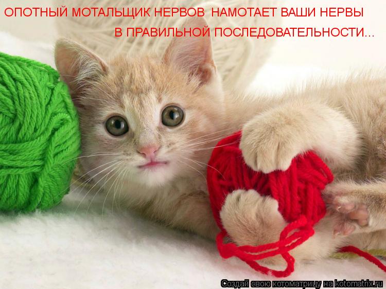 Котоматрица: ОПОТНЫЙ МОТАЛЬЩИК НЕРВОВ НАМОТАЕТ ВАШИ НЕРВЫ В ПРАВИЛЬНОЙ ПОСЛЕДОВАТЕЛЬНОСТИ...