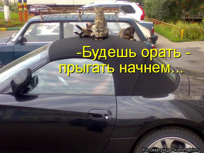 -Будешь орать - прыгать начнем...... Котоматрица: -Будешь орать - прыгать начнем...